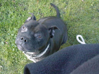 Buster