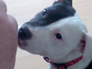 Milly2