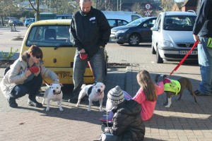 StaffordWalkNov12_5[1]