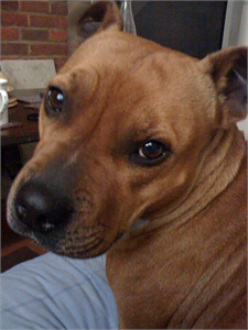 boris1