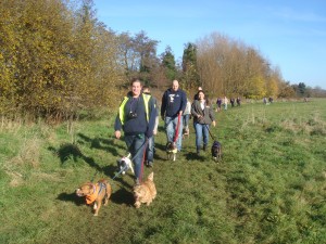 StaffordWalkNov12_3[1]