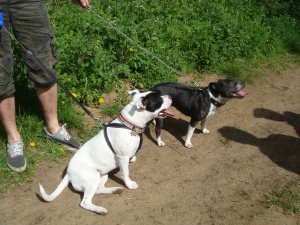 Kyra and Sasha