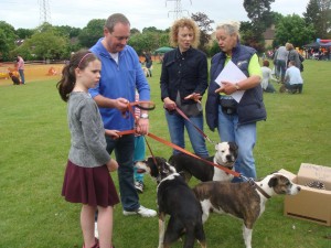 Sharon and family with Tara, rescued from us, and 2 RSPCA rescues.