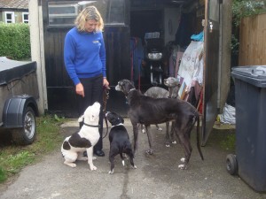 With the pack!