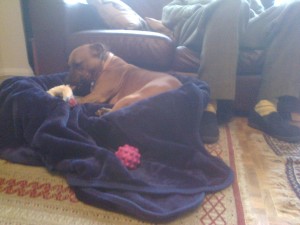 Photo0122