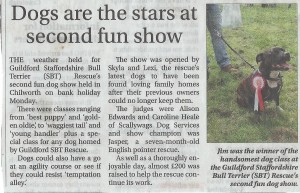 dog show surrey ad 2